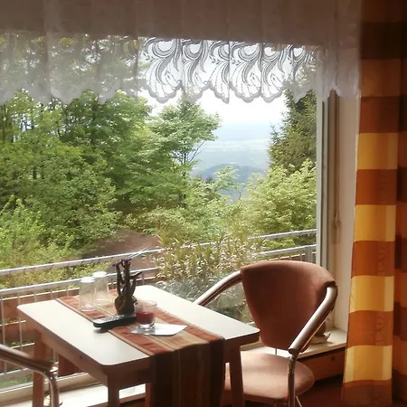 Pension-stadt-baden 3* ساسباشفالدن