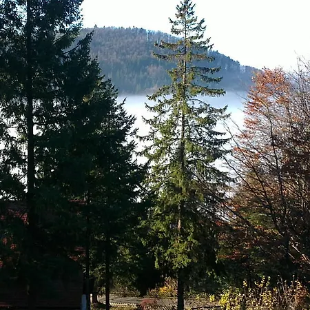 Guest house Pension-stadt-baden Sasbachwalden
