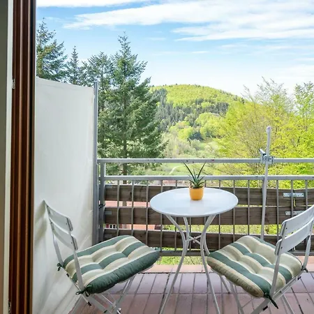 Pension-stadt-baden Gasthof 3*
