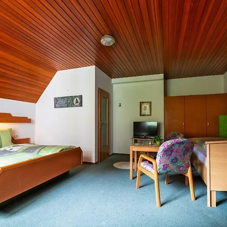 Pension-stadt-baden 3*